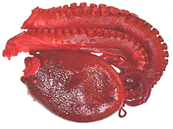 ���Ļ�̱�Ծ�